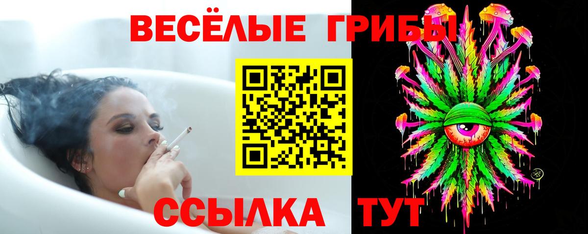 Псилоцибиновые грибы мухоморы Десногорск